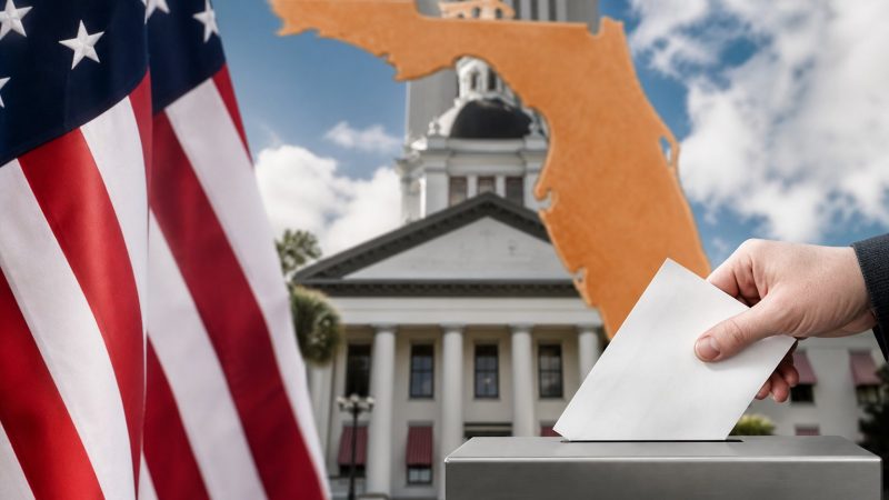 Florida Primary Puts House Races, Governor’s Contest in Play