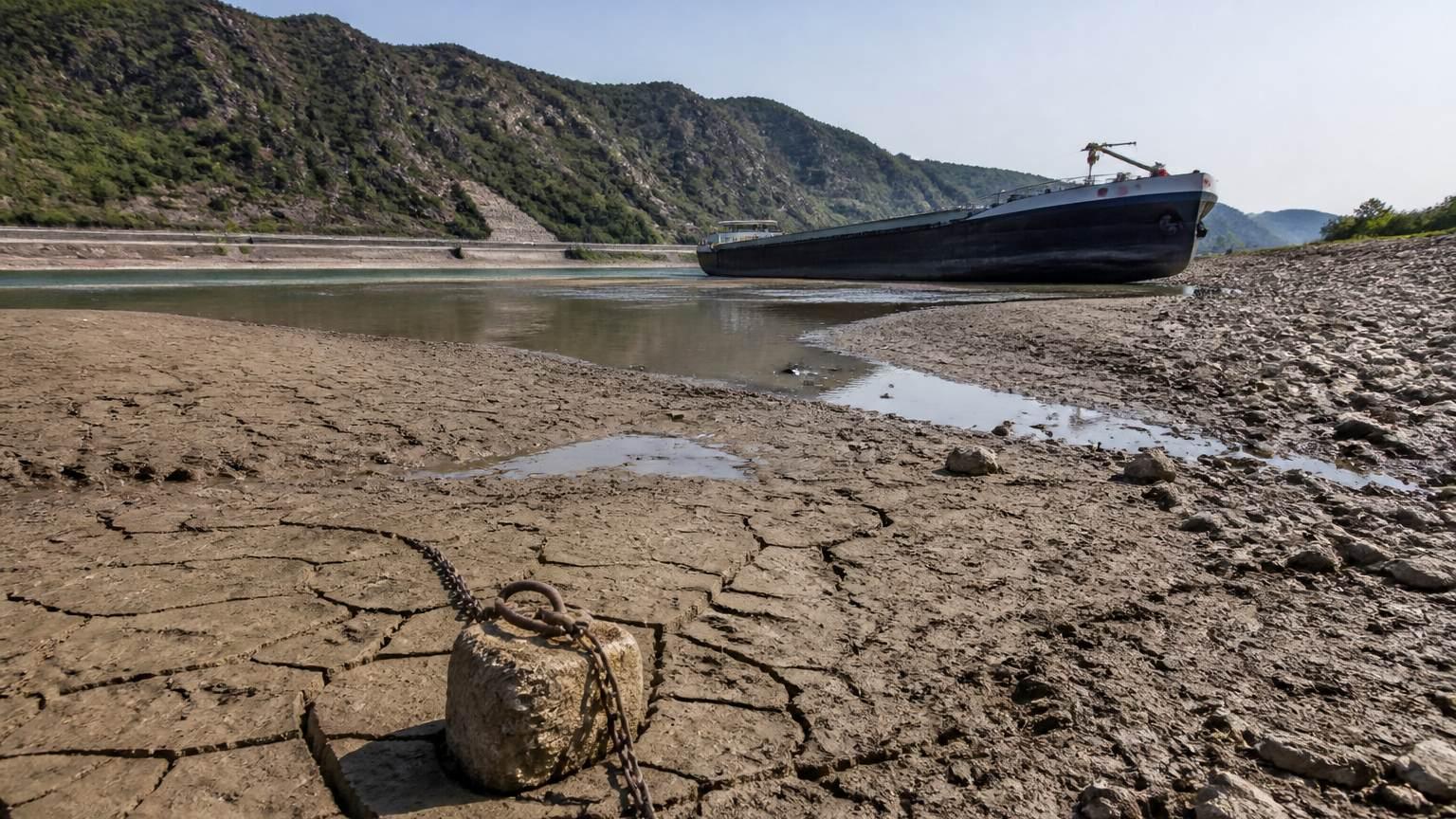 Rhine Record Low Deepens Europe Drought Strain