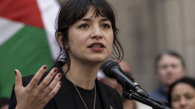 DSA Co-Chair Defends Gaza Remarks, Israel View