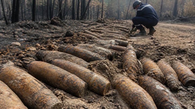 France Wildfires Expose 400 WWII Shells in Le Porge
