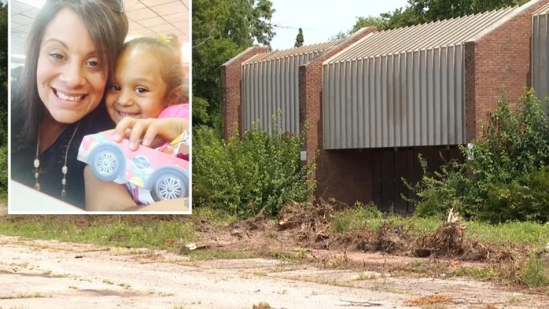 Mother of 5 Killed in Illinois Shooting, Family Says She Protected Her Kids