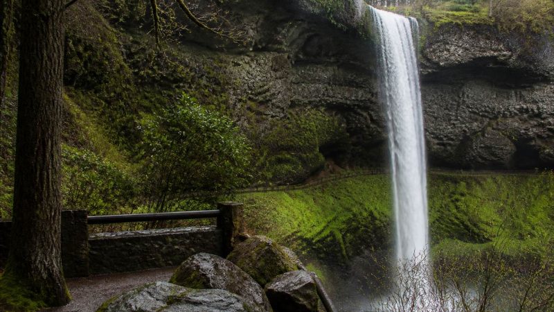 South Falls death at Oregon park follows fall
