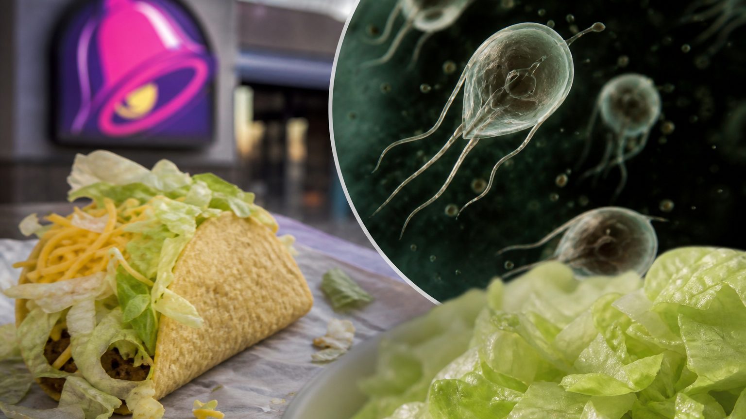 Taco Bell lettuce pulled after parasite outbreak