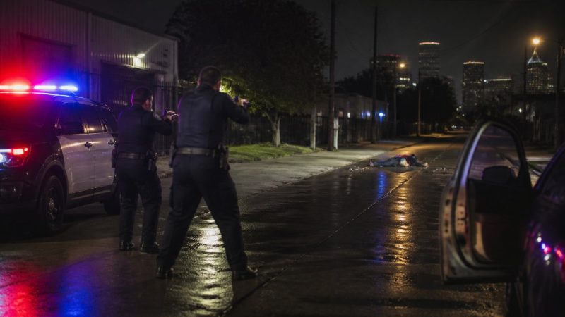 Houston Police Shoot Gunman After Wayside Drive Attack